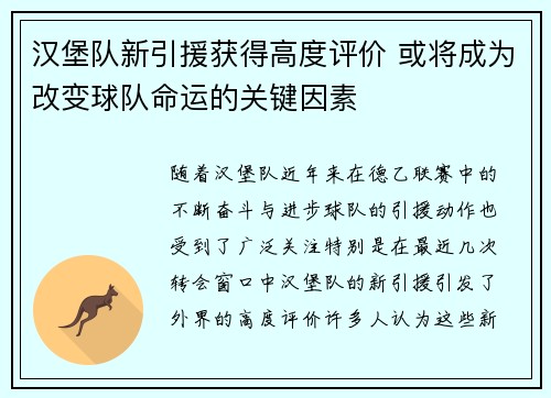 汉堡队新引援获得高度评价 或将成为改变球队命运的关键因素